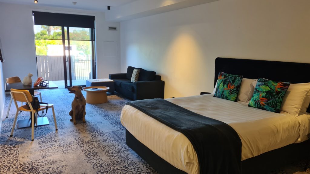 Bailey at Roomie Apartments Auckland, a dog-friendly accommoation in Auckland