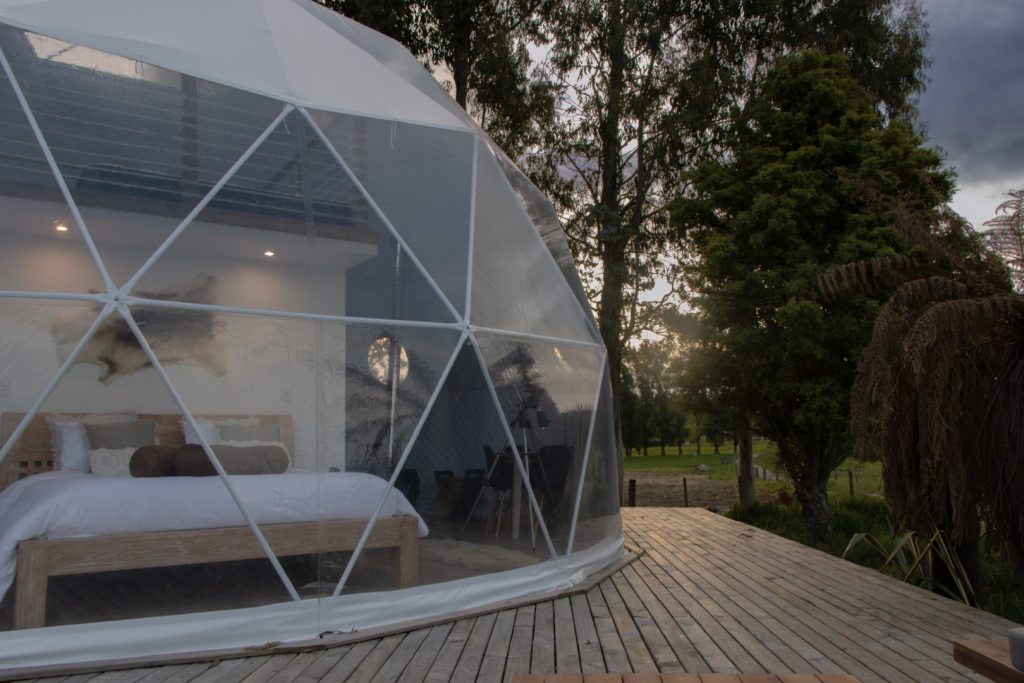 DomeHome Rotorua is a dog-friendly glamping accommodation outside of Rotorua