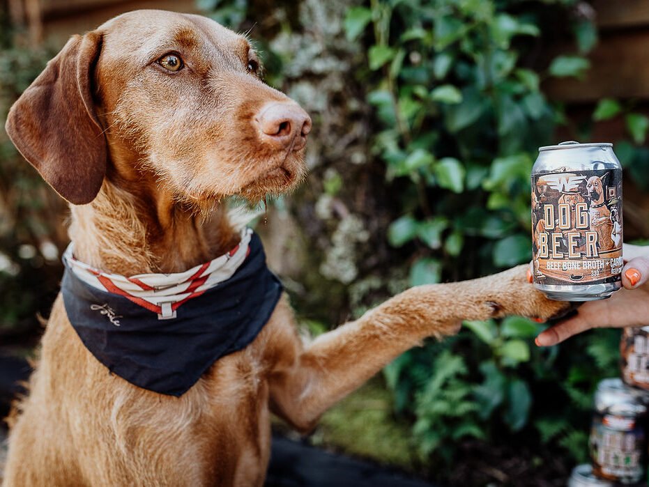Dog enjoying a "beer" at Lake Mahinapua Hotel, a dog-friendly pub and accommodation in Hokitika